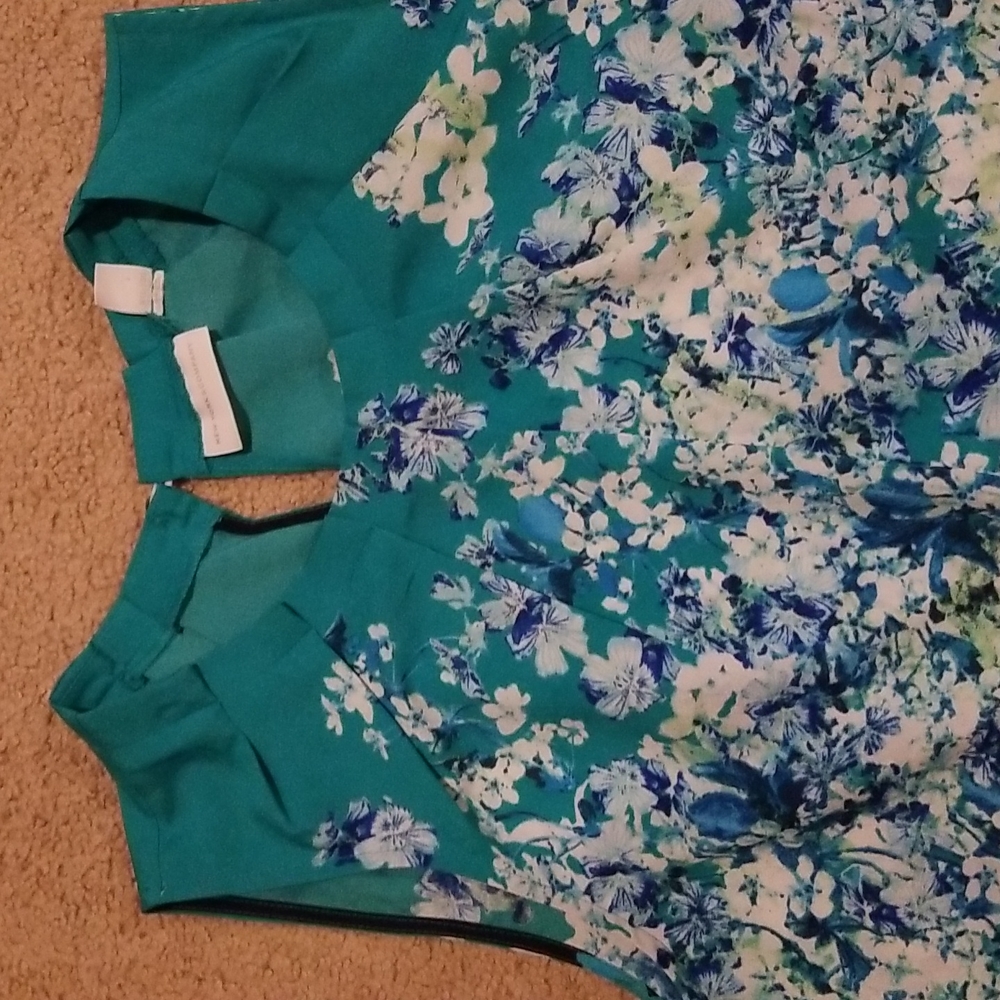 New York and Co sleeveless light shirt